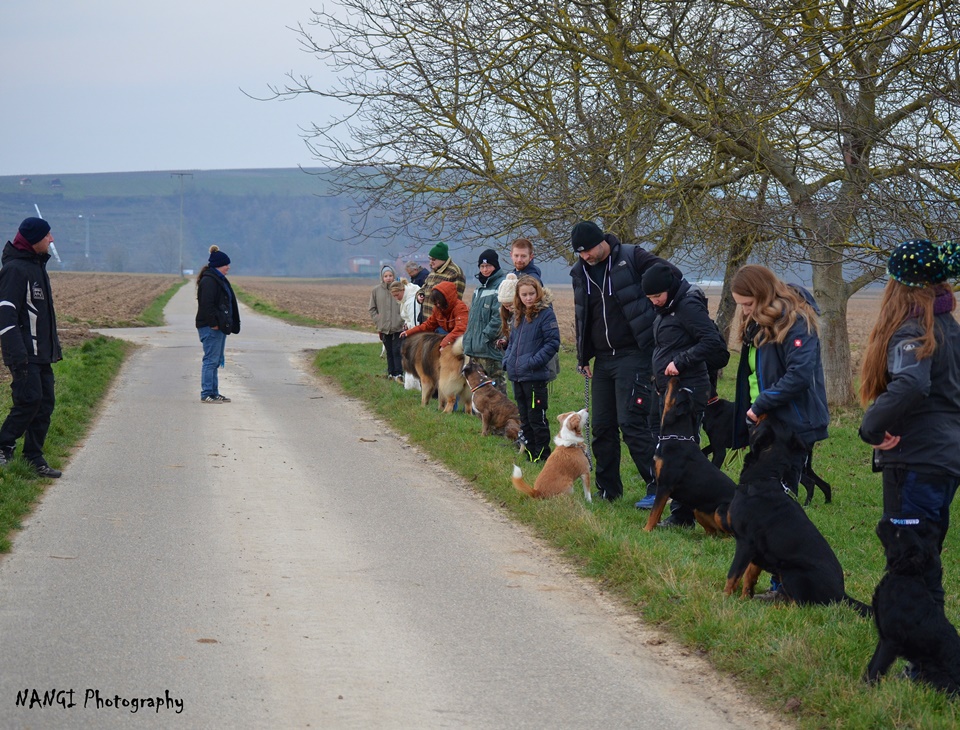 AHV Heilbronn Spass mit dem Hund