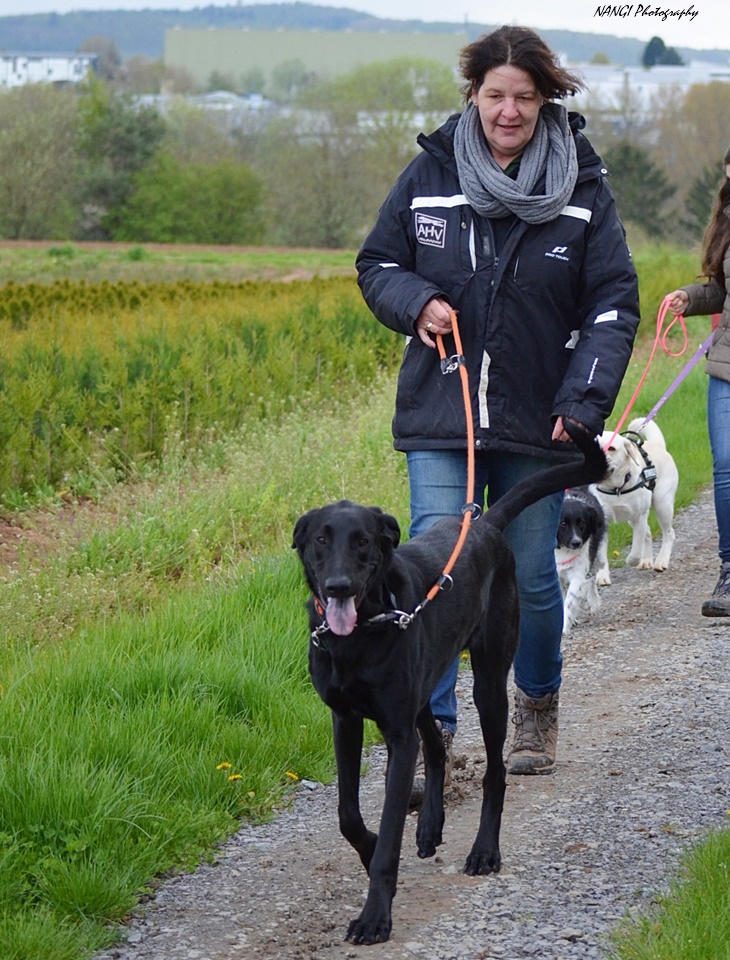 AHV Heilbronn Spass mit dem Hund