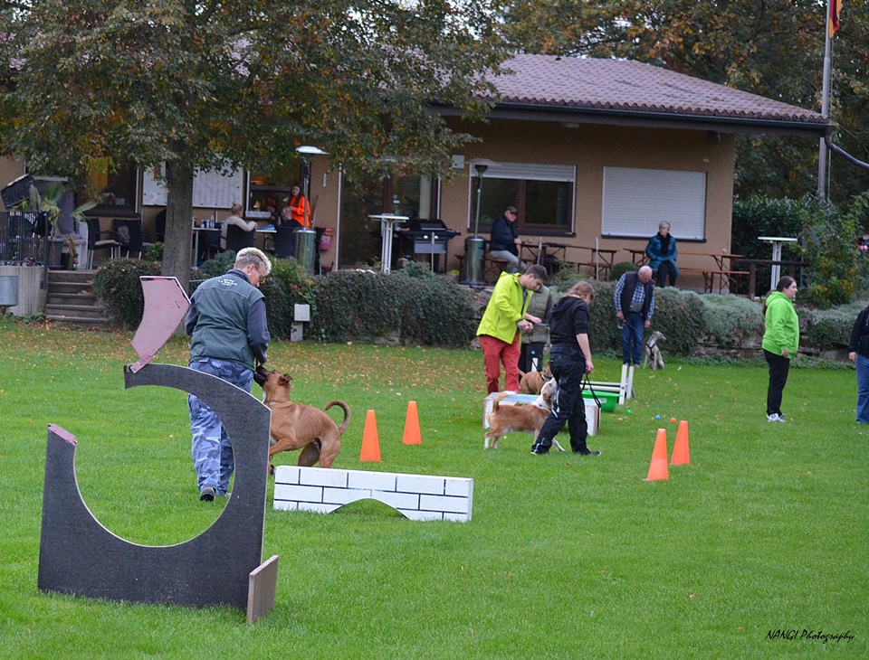 AHV Heilbronn Spass mit dem Hund